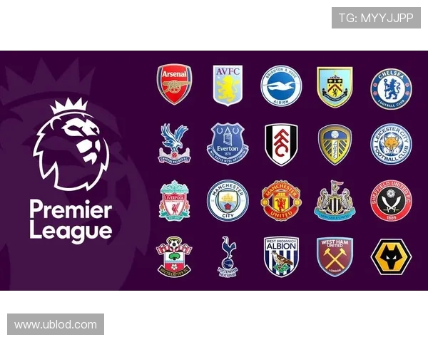 英超联赛中等实力球队的运营模式与发展前景分析