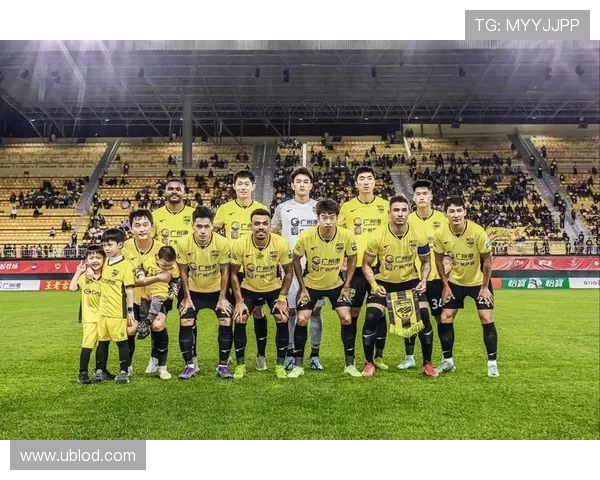 金元风暴背景下2019法甲俱乐部球员身价分析与市场动向探讨